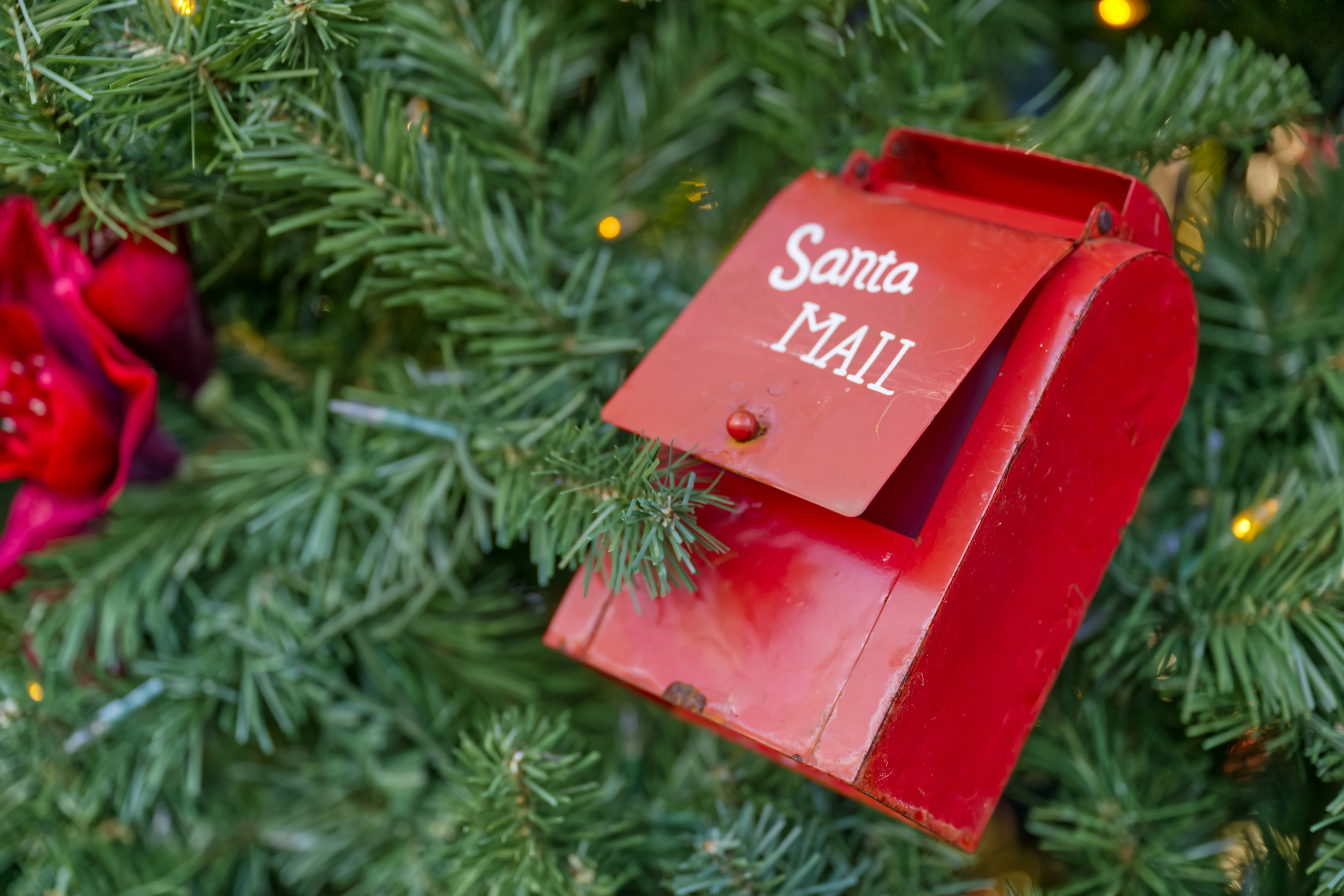 Newsletter Dezember 2025