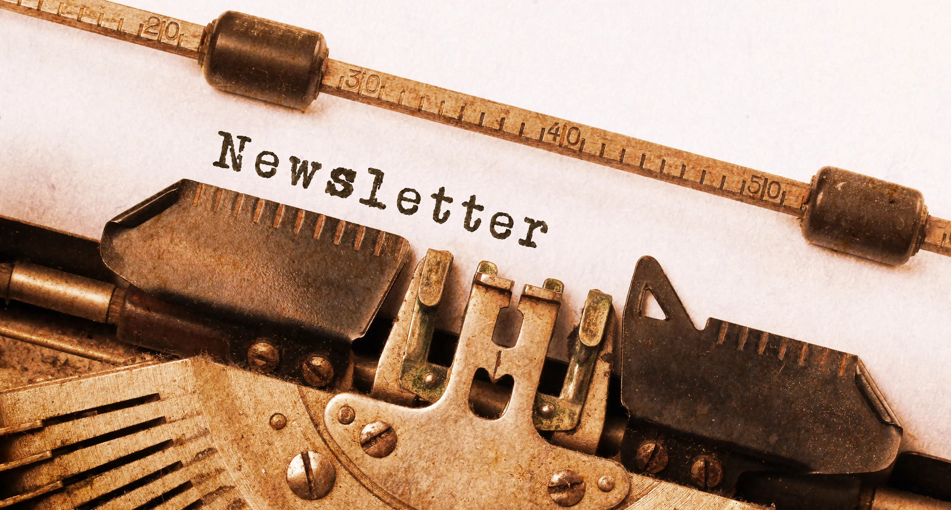 Newsletter November 2025