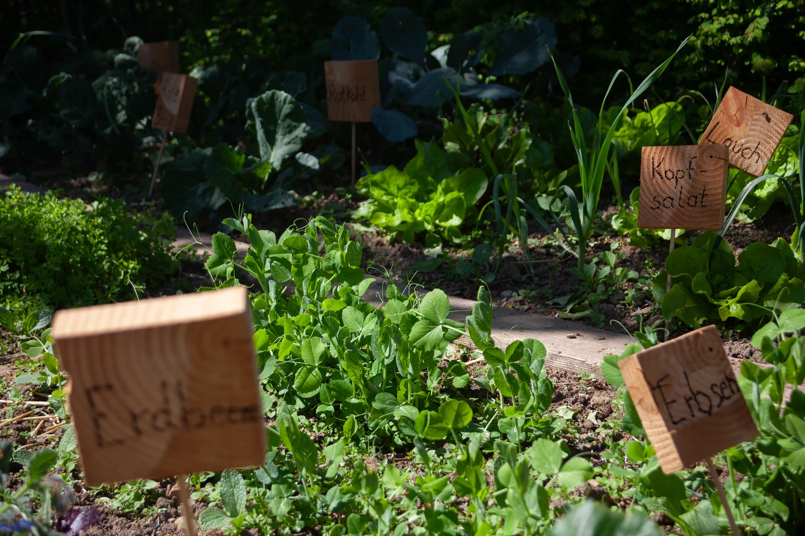 Eine Wissenschaftlerin und ein Wissenschaftler arbeiten hinter einer Glasfassade und mischen Chemikalien mit Großgeräten.