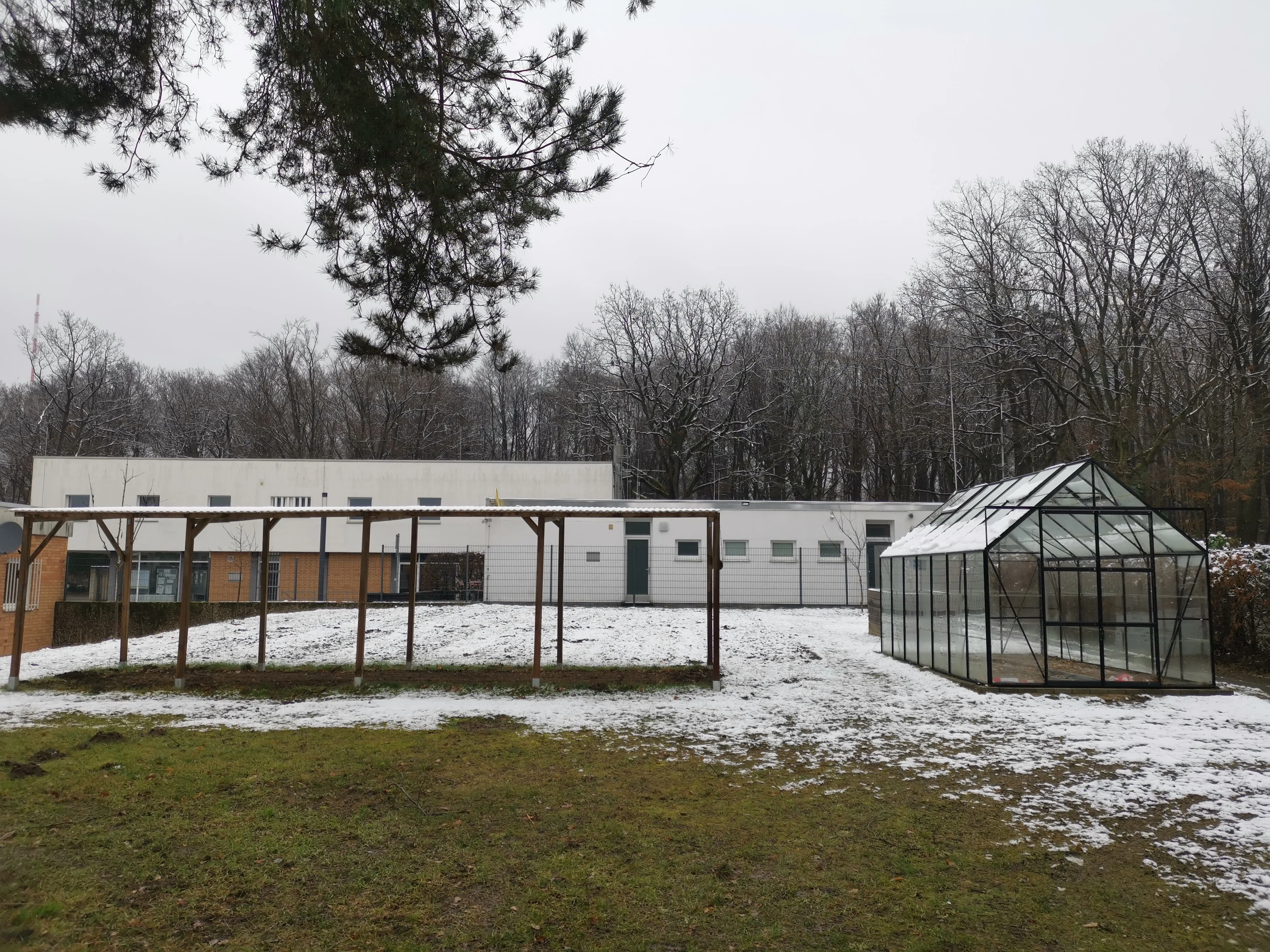 SportFeld_Januar_2026